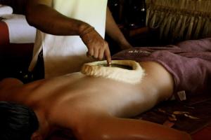 a woman getting her hair cut with a brush at A4 Villa & Spa. in Habarana