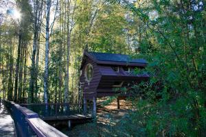 a purple house in the middle of a forest at Huilo Huilo Canopy Village in Huilo Huilo