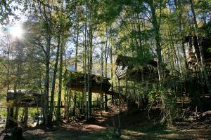 a tree house in the middle of a forest at Huilo Huilo Canopy Village in Huilo Huilo
