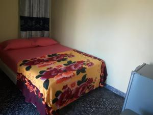 Vuode tai vuoteita majoituspaikassa Nueva Alborada Lodging House