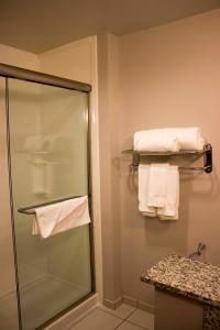 a bathroom with a shower and white towels at Holiday Inn Express and Suites Tahlequah, an IHG Hotel in Tahlequah