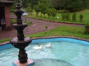 O vedere a piscinei de la sau din apropiere de Hacienda Mariposas