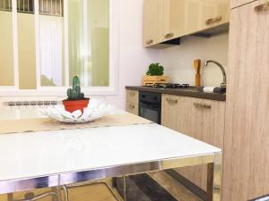 cocina con encimera y cactus en Casa Vacanze Disfida di BARLETTA, en Barletta