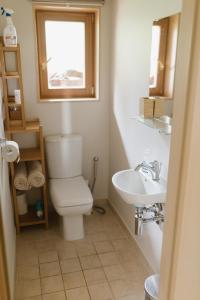 łazienka z toaletą i umywalką w obiekcie Buļļi w Rydze