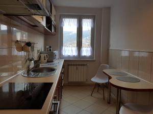 Kuchnia lub aneks kuchenny w obiekcie Apartament Krupówki Centrum