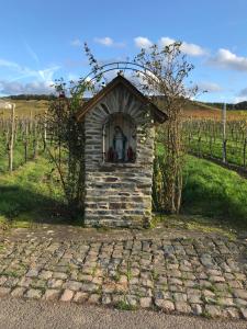 Zahrada ubytování Mosel-Auszeit