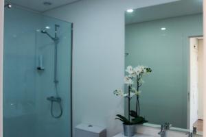 een badkamer met douche, toilet en spiegel bij Apartamento da Lapa in Porto +31 foto's