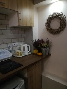 una cucina con un bancone con un bollitore per il tè sopra di Apartament Akademicka a Zamość