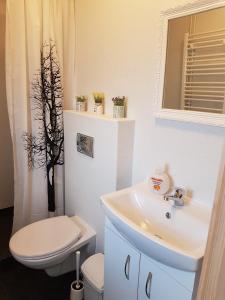 a bathroom with a sink and a toilet and a mirror at Guesthouse Didi in Flagbjarnarholt +27 photos