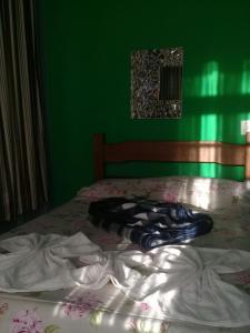 1 dormitorio con 1 cama con pared verde en Sítio Canoas en Albuquerque