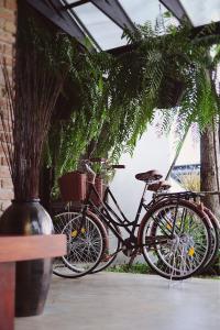 dos bicicletas estacionadas al lado de un edificio con plantas en Goodhope Villa en Sam Roi Yot