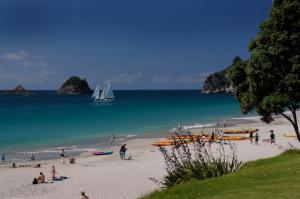 a group of people on a beach with a sail boat at Ponga eco-lodge in Hahei