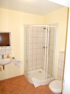 a bathroom with a shower and a toilet and a sink at HAHNE s GÄSTEHAUS in Hannover