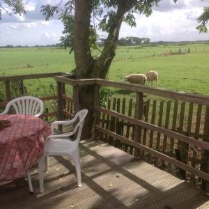 Fotografie z fotogalerie ubytování Chalet westerham v destinaci Winsum