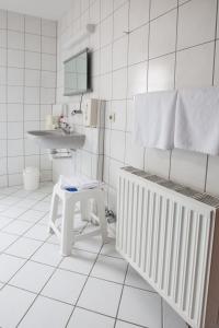 Fotografie z fotogalerie ubytování Hotel Reussischer Hof v destinaci Schmölln