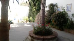 Vonkajšia záhrada v ubytovaní Gravina Comfort