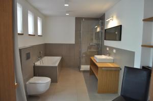 ein Bad mit einem WC, einem Waschbecken und einer Dusche in der Unterkunft Schloß Ort in Passau
