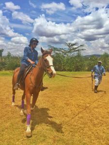 Tetamu yang menginap di Maiyan Nanyuki