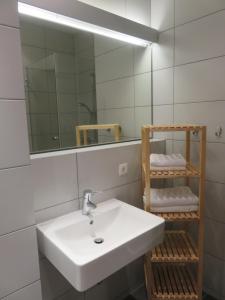 La salle de bains est pourvue d'un lavabo et d'un miroir. dans l'établissement Historisches Bürgerhaus Dresden -Kulturstiftung-, à Dresde