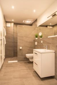 ein Bad mit einem WC, einem Waschbecken und einer Dusche in der Unterkunft Spreehaus-Apartments in Lübben