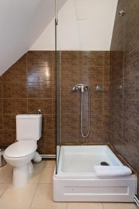 Un baño con ducha, inodoro y bañera. en Casa Astronomului, en Sibiu 30 fotos más