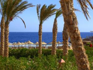 Gallery image of Viva Blue Resort and Diving Sharm El Naga (Adults Only) in Hurghada