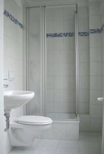 a bathroom with a shower and a toilet and a sink at Forsthaus Appartements in Braunschweig