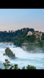 Foto dalla galleria di Zak Neuhausen a Neuhausen am Rheinfall