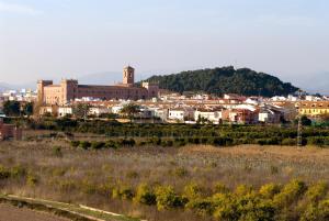 una ciudad en una colina con una ciudad en Hotel Borja, en El Puig