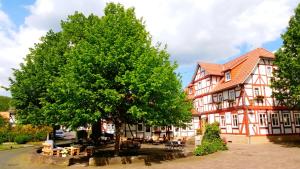 a large tree in front of a building at Landhotel Gemeindeschänke in Wanfried
