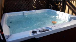 a hot tub with a rock in it at 1 Murray House in Newport