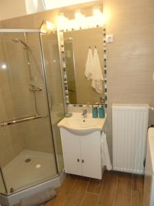 y baño con lavabo y ducha. en Andrew's Residence Budapest, en Budapest