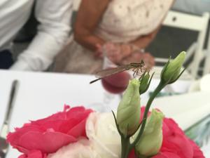 Zdjęcie z galerii obiektu Villa Sobótka w mieście Sobótka