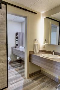 a bathroom with a sink and a mirror at El Rancho Hotel in Williston +36 photos
