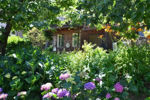 Zahrada ubytování B&B Il Torchio