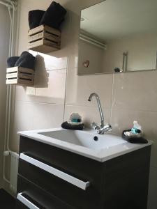 a bathroom with a sink and a mirror at Gastenverblijf 't Achterhoes in Bellingwolde
