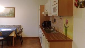 Köök või kööginurk majutusasutuses Apartments Grabler