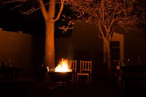 a fire pit in the dark with two trees at Le Franz in Parys