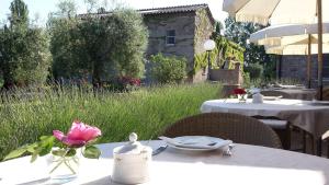 Vonkajšia záhrada v ubytovaní Agriturismo La Sovana
