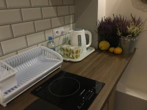 a kitchen counter with a sink and a stove at Apartament Akademicka in Zamość