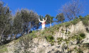 a statue of a person on top of a hill at Hotel Happy Days in Licola