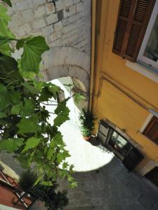 Zahrada ubytování Arco Della Neve Guest House