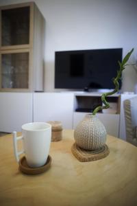TV a/nebo společenská místnost v ubytování Apartment Centar