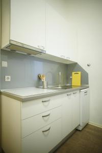 Kuchyň nebo kuchyňský kout v ubytování Apartment Centar