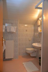 a bathroom with a toilet and a sink at Garni Sonnegg in Petersberg