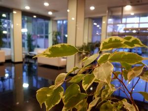 A seating area at Spa Hotel Ata