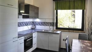Kuchyň nebo kuchyňský kout v ubytování Apartma Auriga