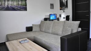 TV a/nebo společenská místnost v ubytování Apartma Auriga