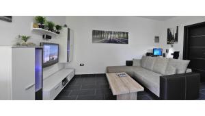 TV a/nebo společenská místnost v ubytování Apartma Auriga