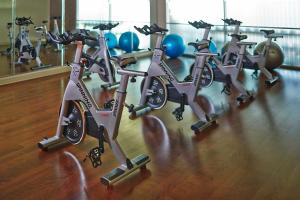 Fitness centrum a/nebo fitness zařízení v ubytování Hotel Arista